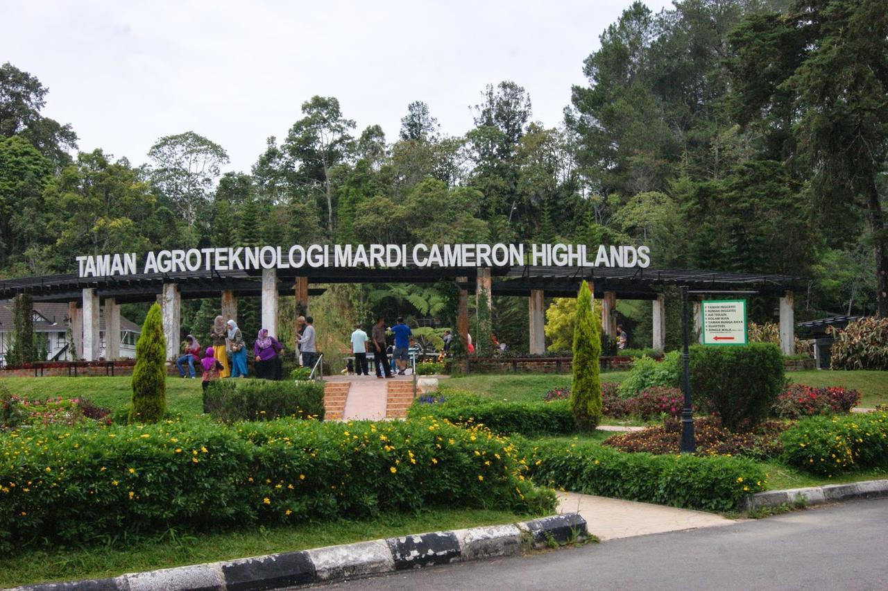 Muslim Boutique Apartment Cameron Highlands Dış mekan fotoğraf